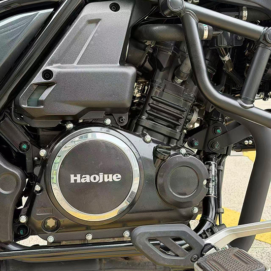 Haojue TR300-5.jpg